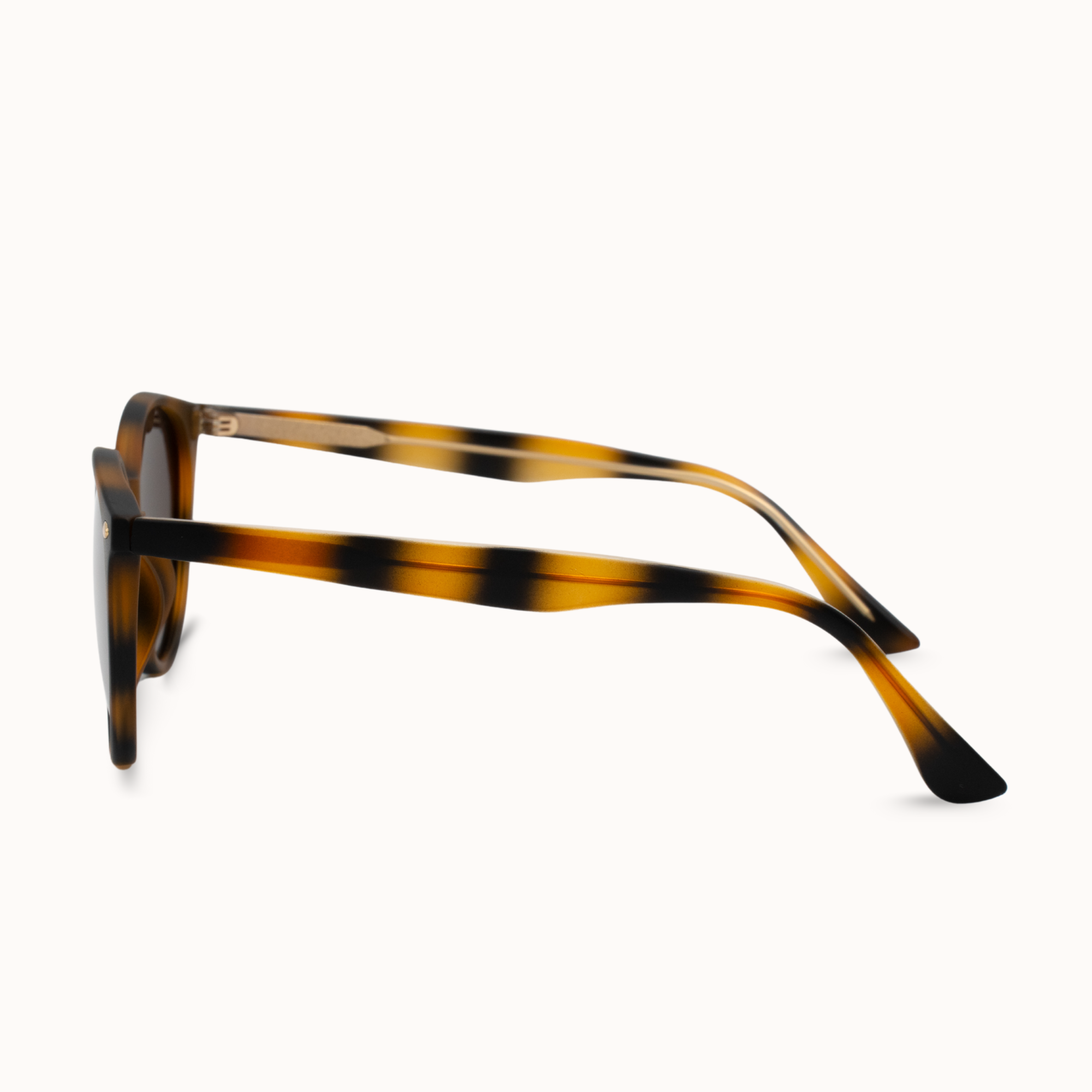 Sunglasses with tortoiseshell frame on a white background