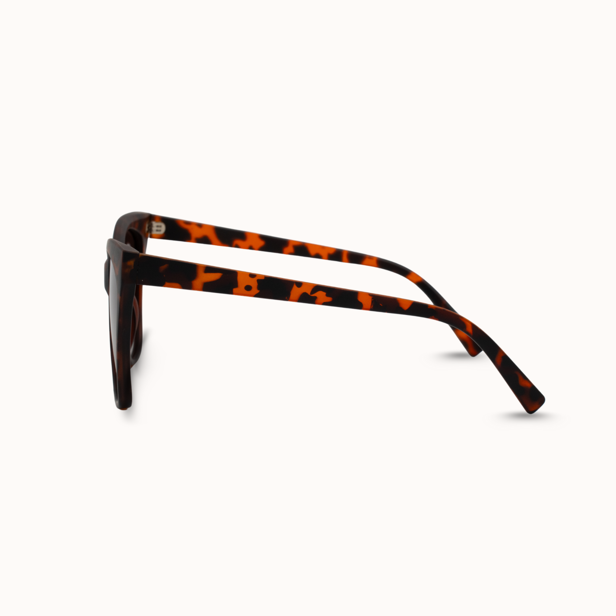 Sunglasses with tortoiseshell frame on a white background