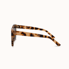 Sunglasses with tortoiseshell frame on a white background