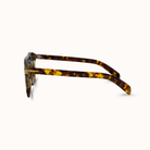 Tortoiseshell sunglasses on a white background